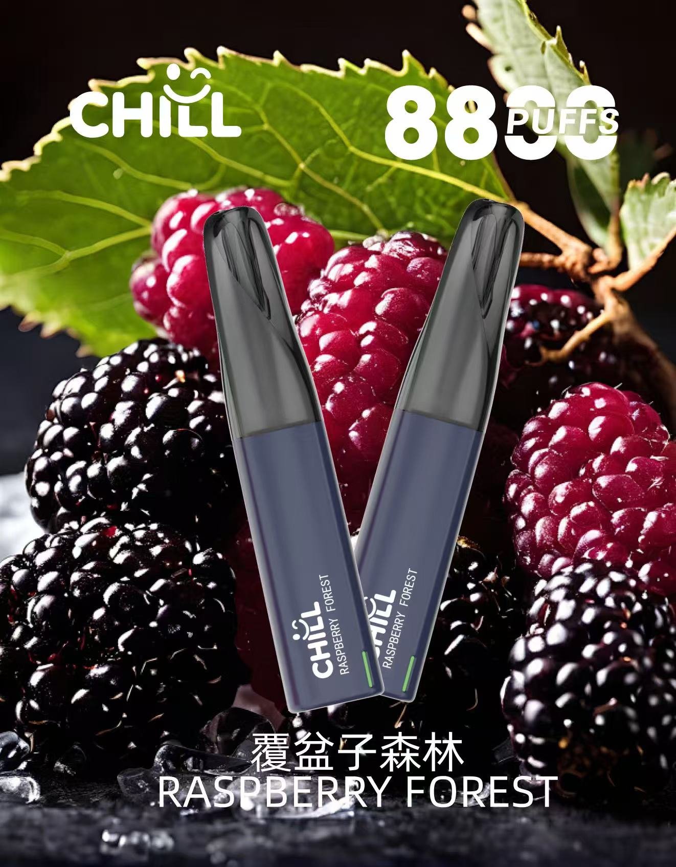 chIll始祖鳥88007